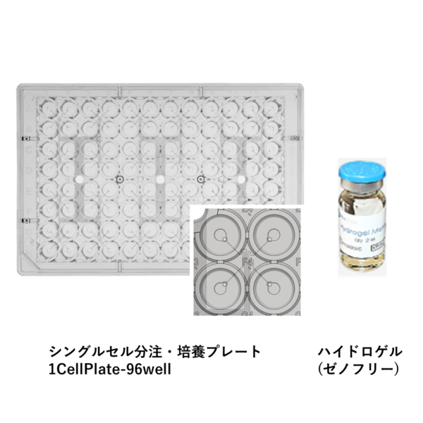 1CellAssay 3D Culture SCSCP シングルセル由来 スフェロイド クローン ３次元細胞培養
